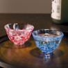 Servizio di sake in vetro giapponese 2 bicchieri e 1 bottiglia SAKURA FUBUKI