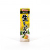 Ginger paste in a tube, OROSHI SHOGA, made in Japan