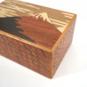 Caja secreta de marquetería tradicional Hakone Yosegi, 21 niveles FUJI TSUBAKI