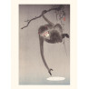 Japanese print, Monkey, Ohara Koson
