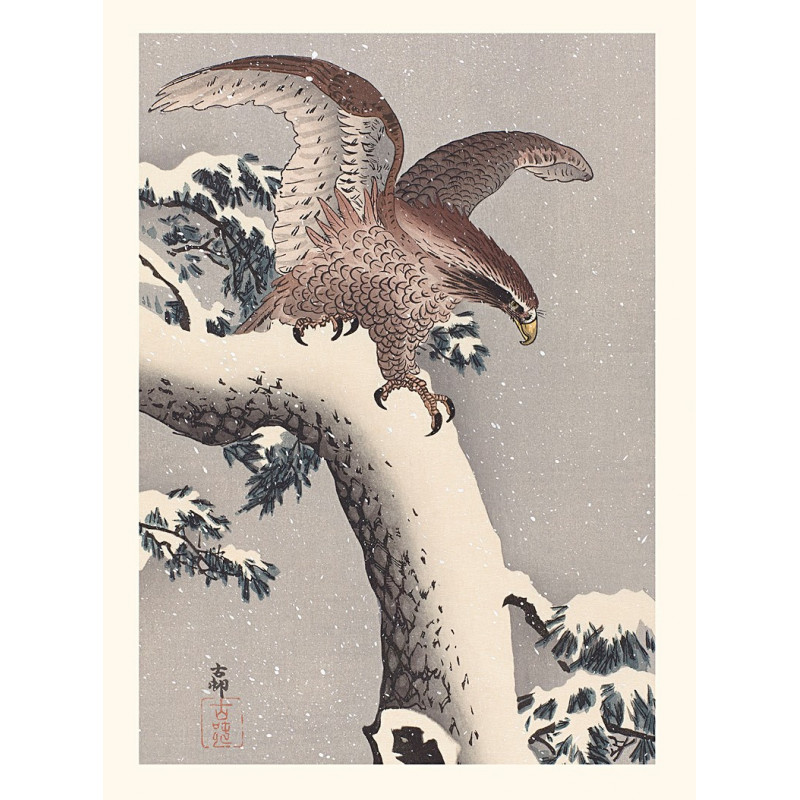 Japanese print, Eagle, Ohara Koson