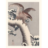 Impresión japonesa, Águila, Ohara Koson