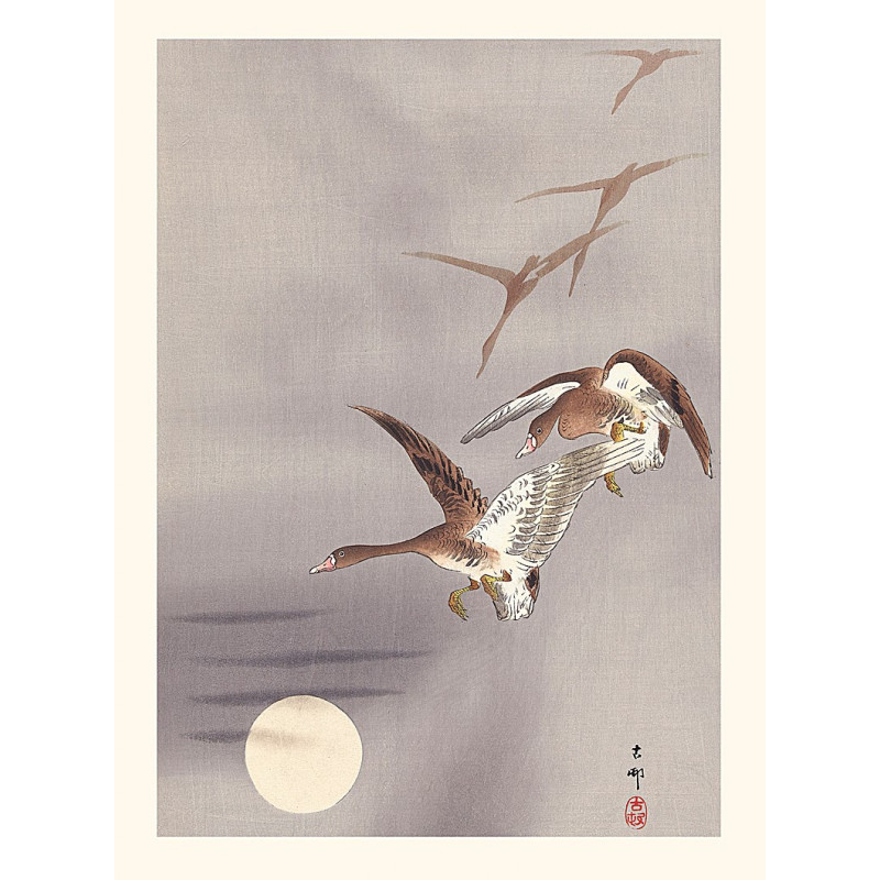 Japanese print, White-fronted geese, Ohara Koson