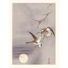 Japanese print, White-fronted geese, Ohara Koson