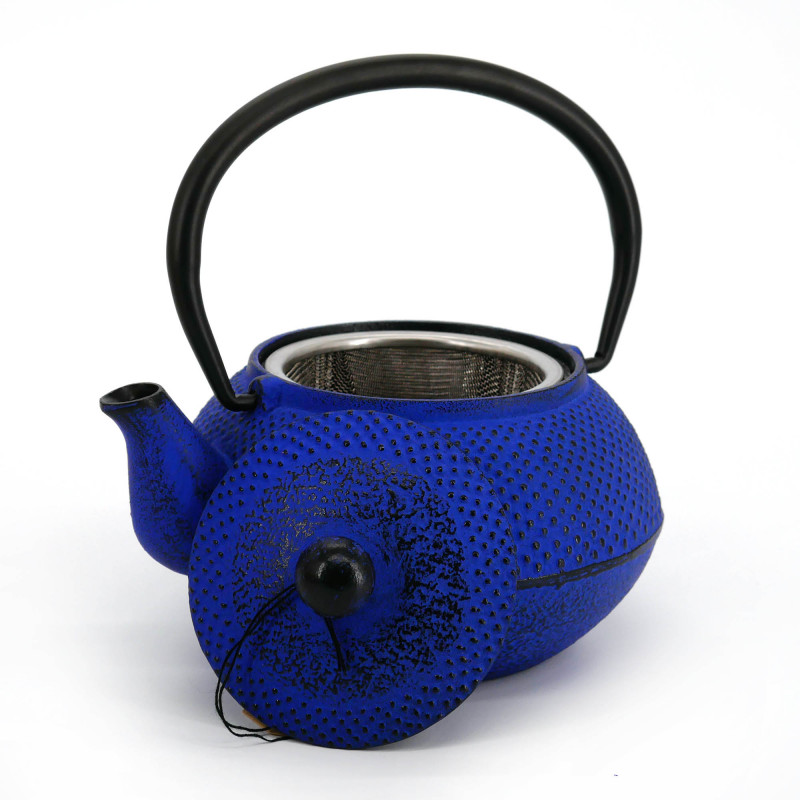Blue enameled Japanese cast iron teapot, ROJI ARARE, 0.4lt