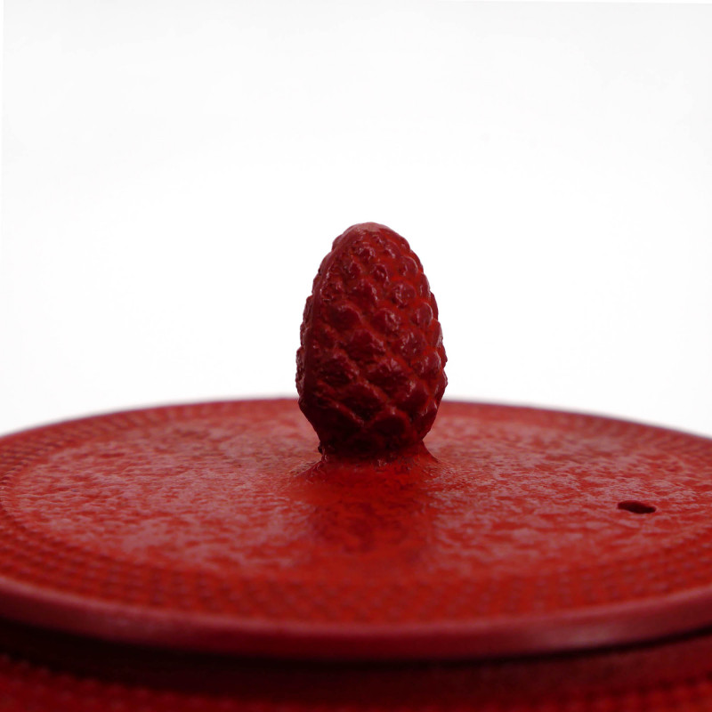Rot emaillierte japanische Teekanne aus Gusseisen, ROJI ARARE, 0.6lt