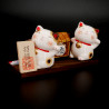 Celebrazione del sake del duo di piccoli gatti giapponesi, SAKE NEKO