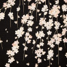 Furoshiki en ramas de cerezo de algodón japonés negro, SAKURA, 50 x 50 cm