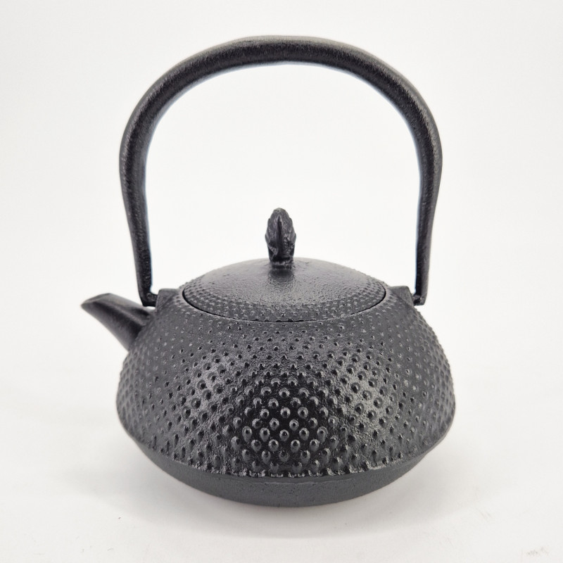 Tetera japonesa de hierro fundido esmaltada negra, ROJI ARARE, 0,4lt