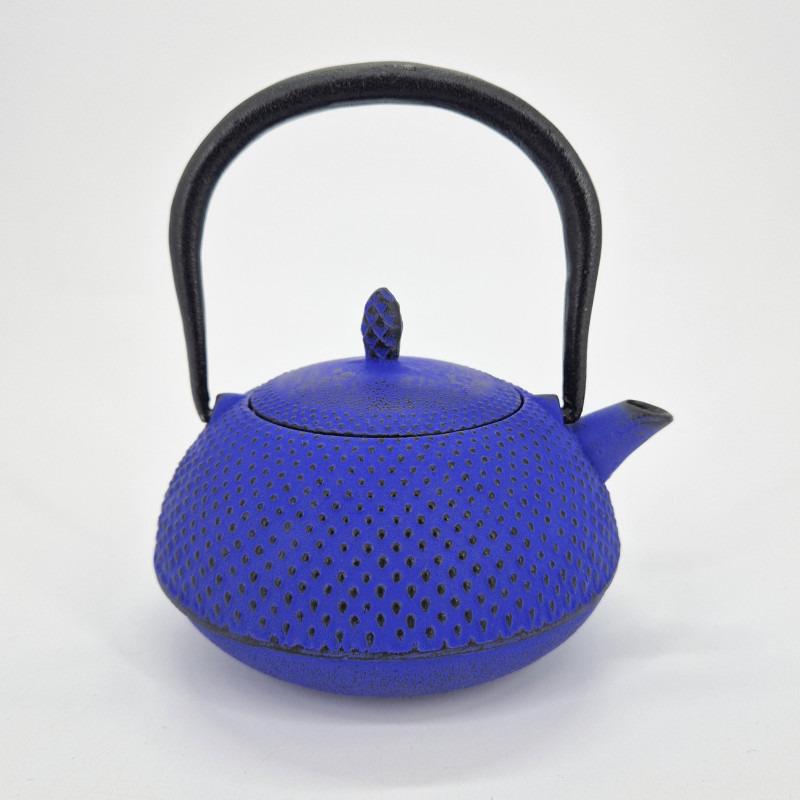 Teekanne aus blauem Gusseisen aus Japan, emailliert, ROJI ARARE, 0,3lt