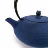 Japanese cast iron teapot - WAZUQU SHIBO - 0.35 lt - blue