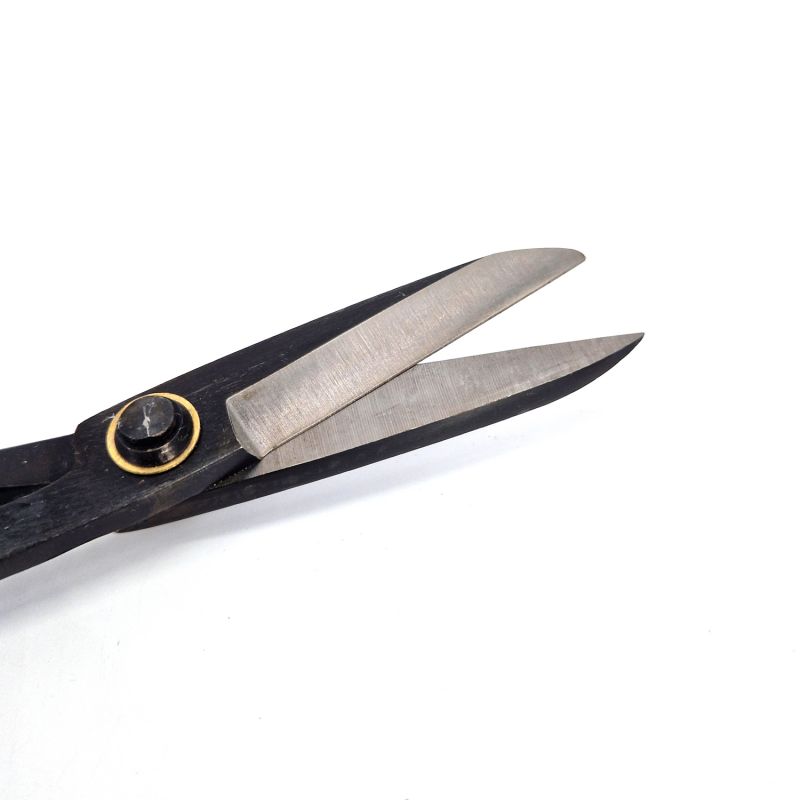 Pair of scissors for Ikebana - 21 cm