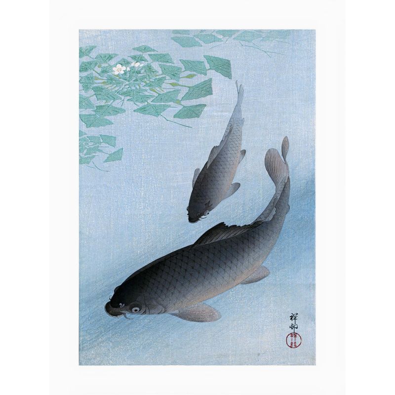 Japanese print, two carp and aquatic plants in bloom, OHARA KOSON