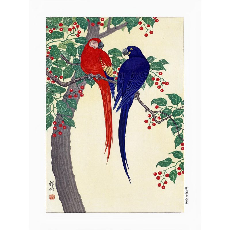 Stampa giapponese, pappagallo rosso e blu, OHARA KOSON