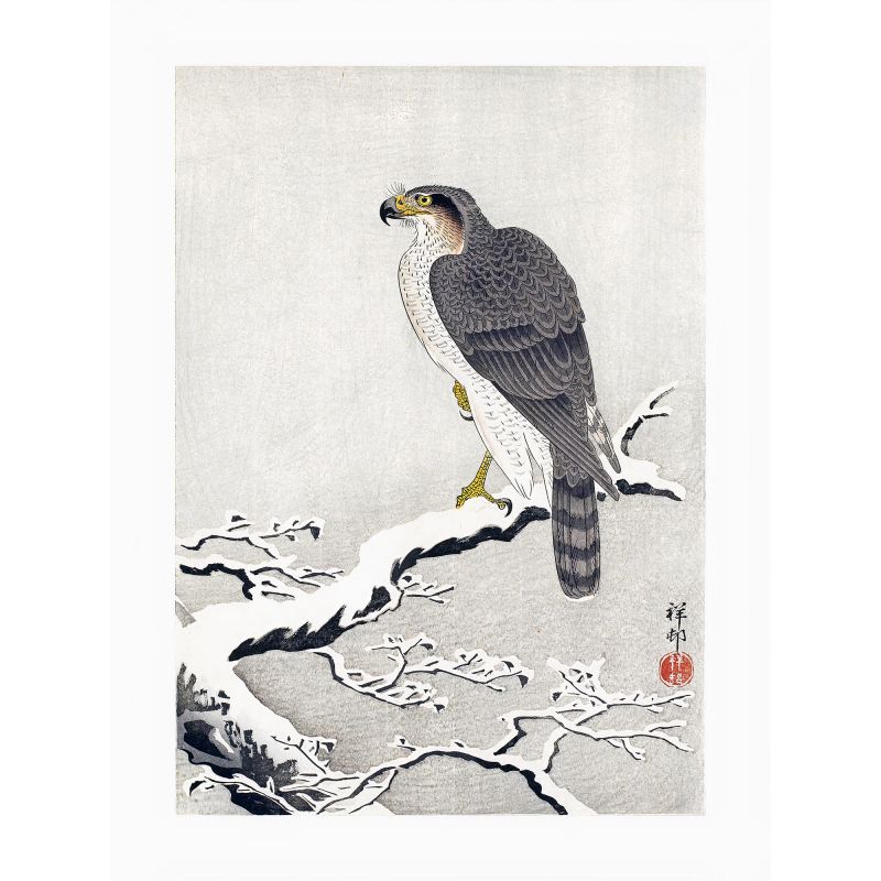Japanese print, Falcon in the snow, OHARA KOSON