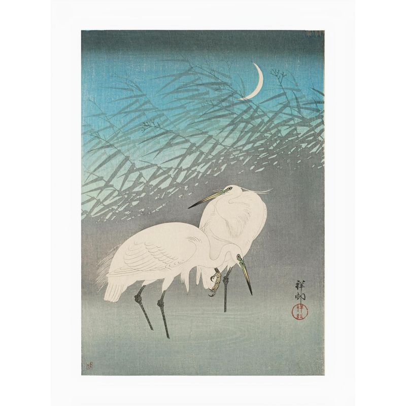 Japanese print, Herons in the reeds, OHARA KOSON