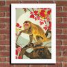 Japanese illustration "Macaca fuscata" The Japanese macaque, by ダヴィッド