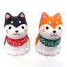 Duo de Chien Shiba japonais fortune- UN