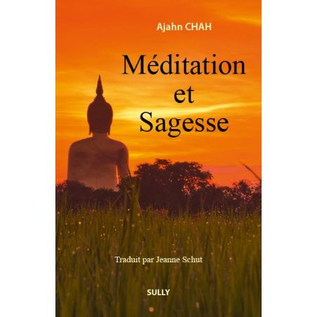 Book - Meditation and wisdom, A.Chah