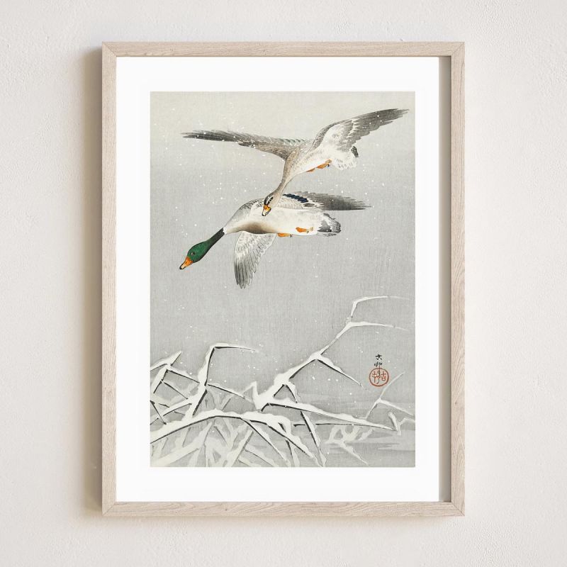 Japanese print, Two ducks, OHARA KOSON