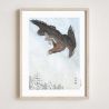 Japanese print, An eagle 2, OHARA KOSON