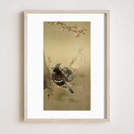 Japanese print, Three pigeons, OHARA KOSON