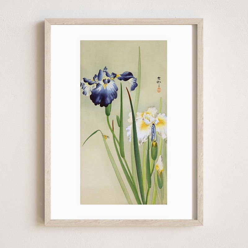 Reproduction d'estampe japonaise, Iris,OHARA KOSON