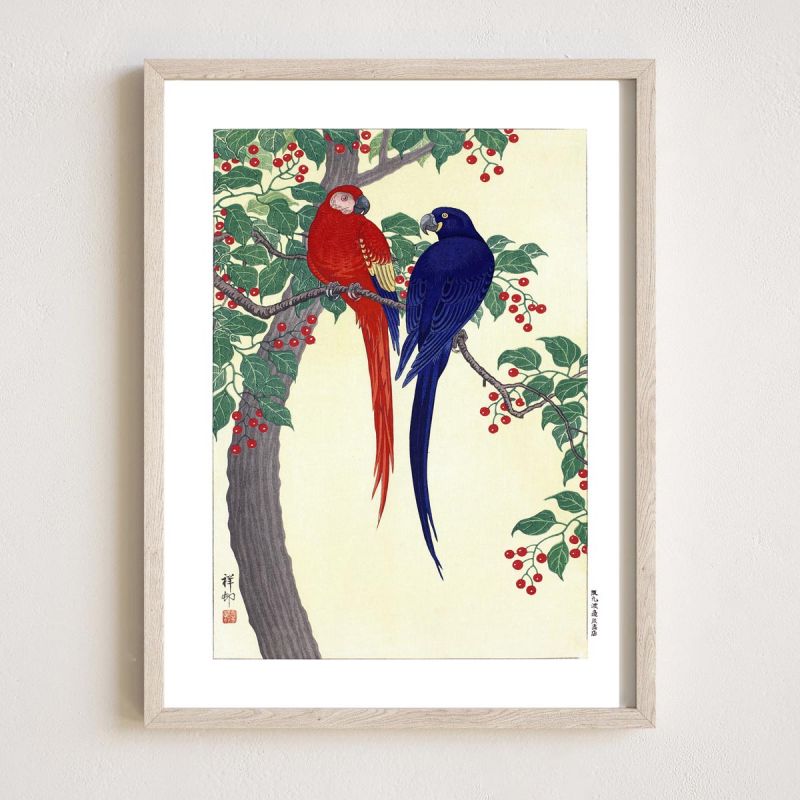 Japanese print, Red and blue parrot, OHARA KOSON