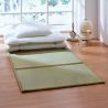 Traditional Japanese Mat, Rice Straw Tatami Mat (Yumemi Tatami), 5-Fold Panels